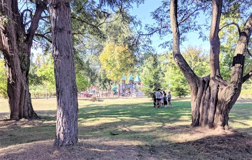 Into the Woods Scavenger Hunt with Kirkland Parks Seattle Area Family